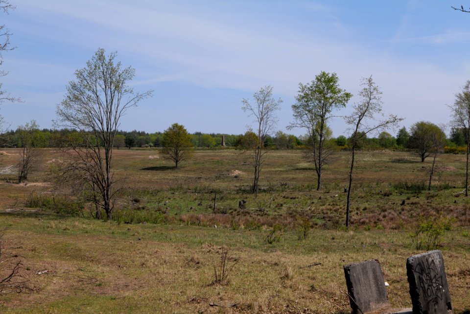 Döberitzer Heide open landscape 2020-05-08 28