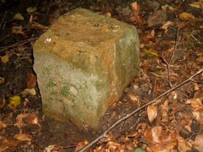 Dümmelbach Grenzstein "F"
