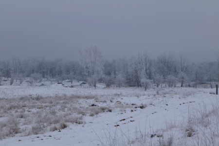 Döberitzer Heide with snow 2021-02-14 54