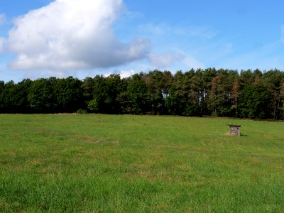 Dürscheid Schmidt 04