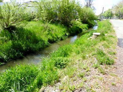 Döhlen, Neustadt an der Orla 4