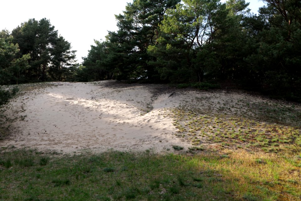 Dünen Dabendorf 2021-05-09 14