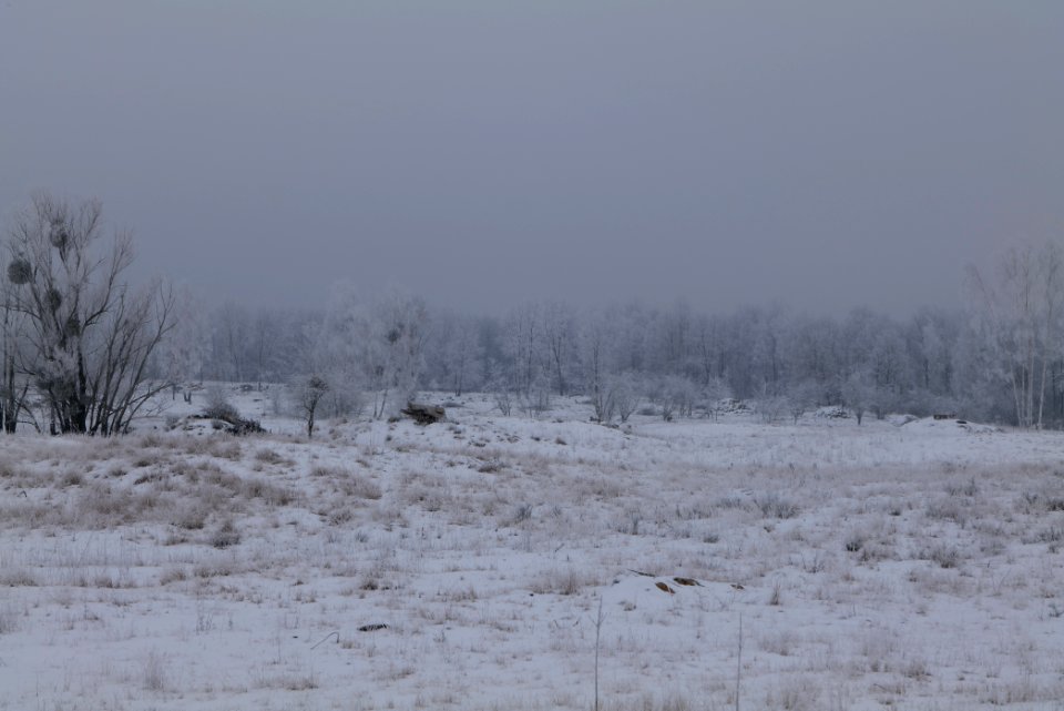Döberitzer Heide with snow 2021-02-14 63