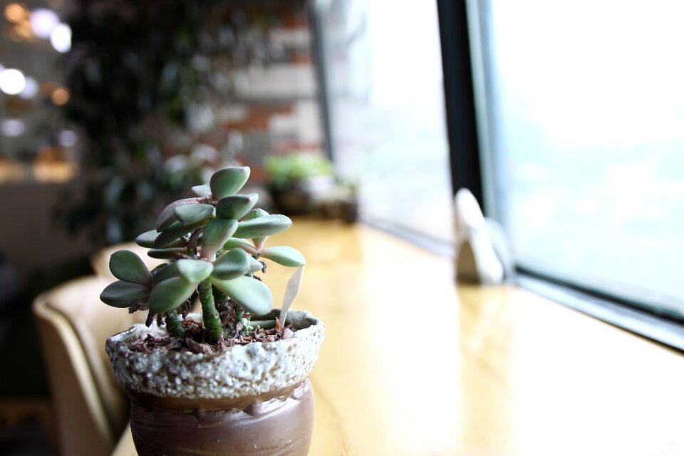 Grass green day healing cafe