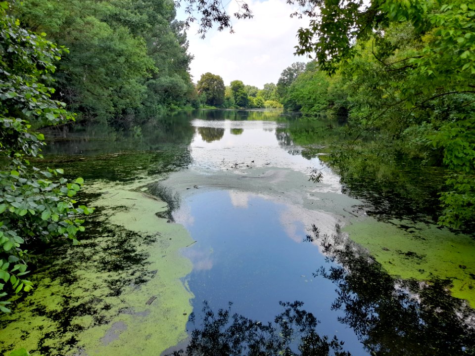 Dölkau Schlossteich