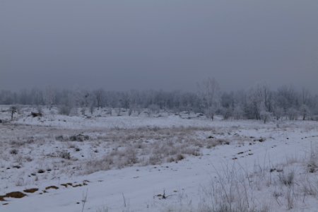 Döberitzer Heide with snow 2021-02-14 59