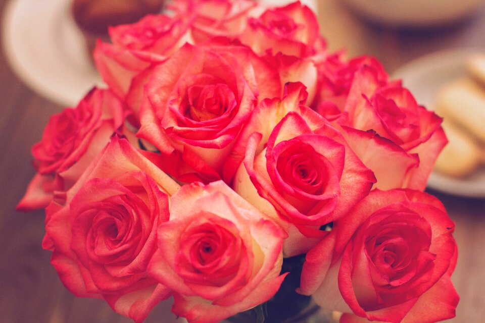 Bouquet pink flowers