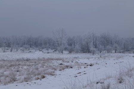 Döberitzer Heide with snow 2021-02-14 55