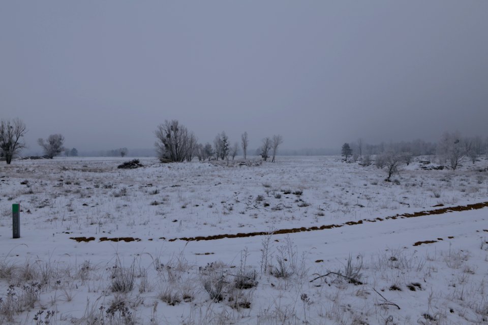 Döberitzer Heide with snow 2021-02-14 50
