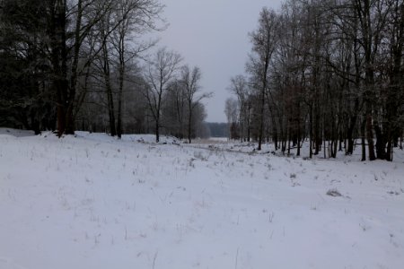 Döberitzer Heide with snow 2021-02-14 74