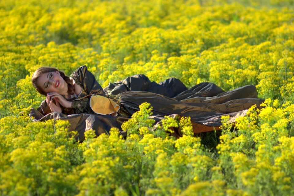 Yellow beauty spring