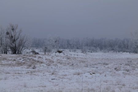 Döberitzer Heide with snow 2021-02-14 64