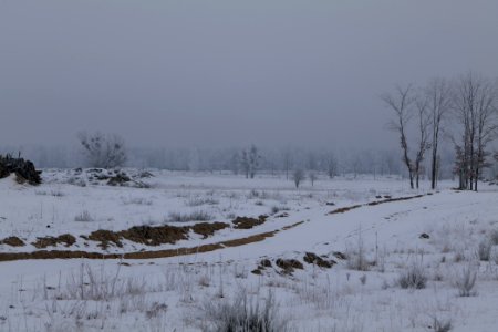Döberitzer Heide with snow 2021-02-14 72