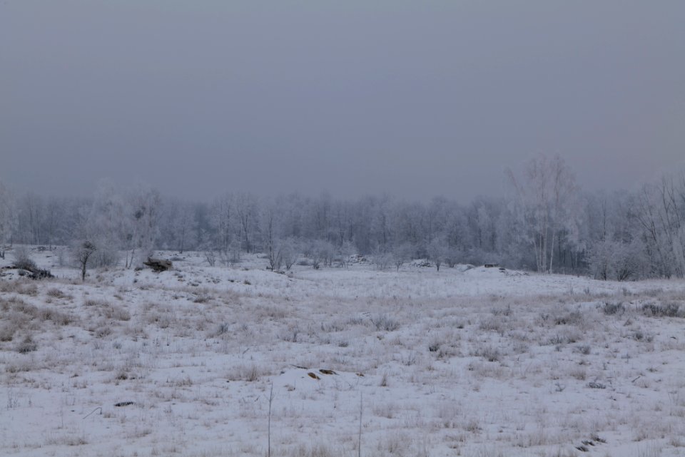 Döberitzer Heide with snow 2021-02-14 65
