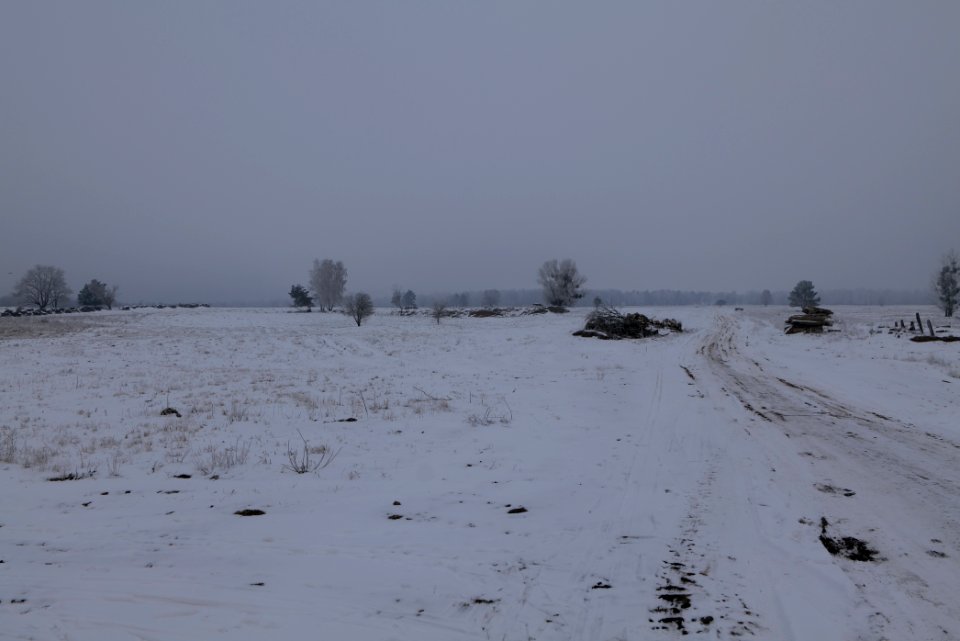 Döberitzer Heide with snow 2021-02-14 60