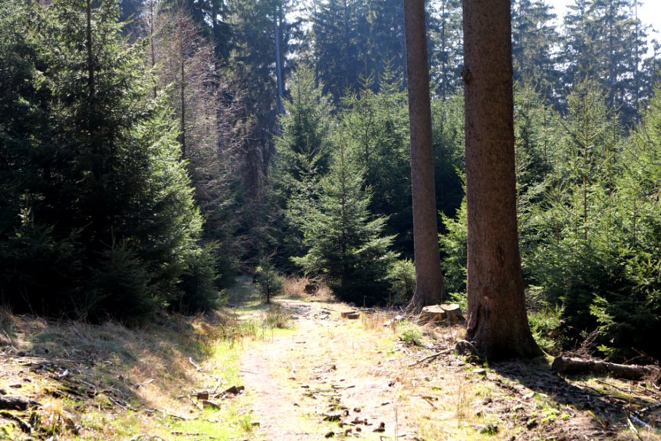 Döngesberg 2020-03-25 05