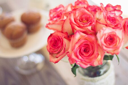Flowers bouquet pink