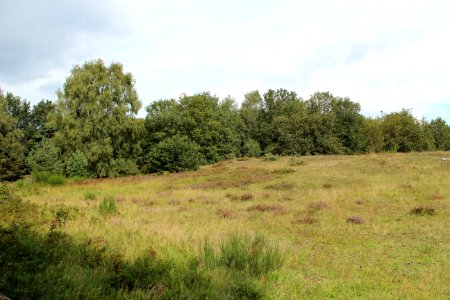 Düne Naturschutzgebiet Eispohl-Sandwehen, Bremen