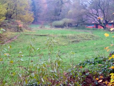 Dörnbach Grundmauern auf Wiese