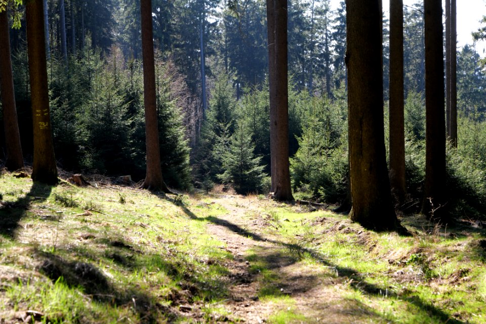 Döngesberg 2020-03-25 03