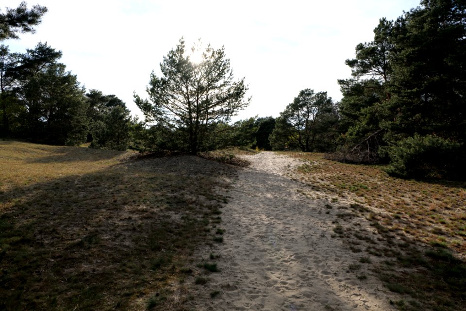 Dünen Dabendorf 2021-05-09 05