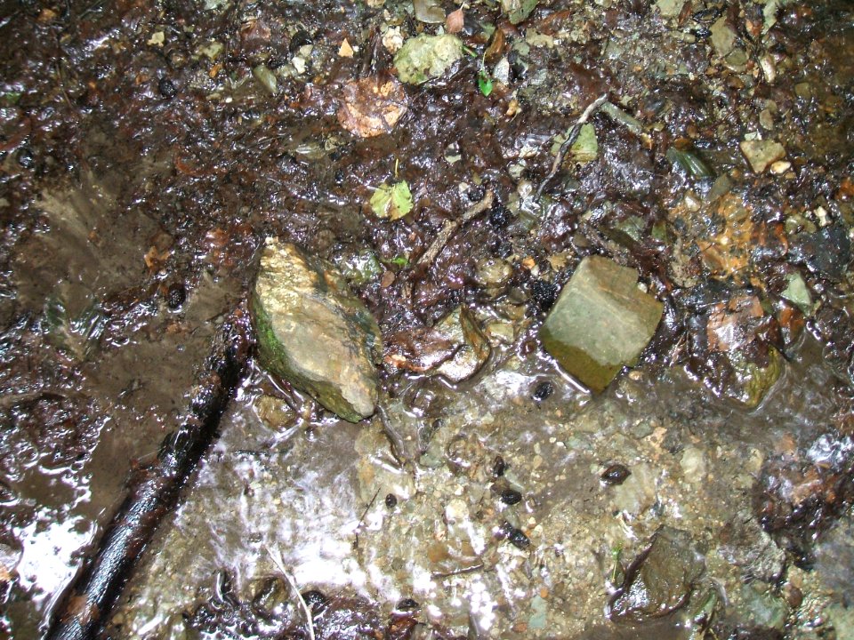 Dümmelbach Bachbett