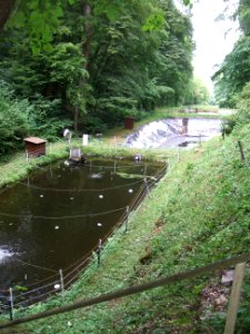 Dümmelbach kleiner und große Teiche