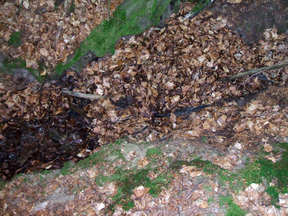 Dümmelbach Quelle