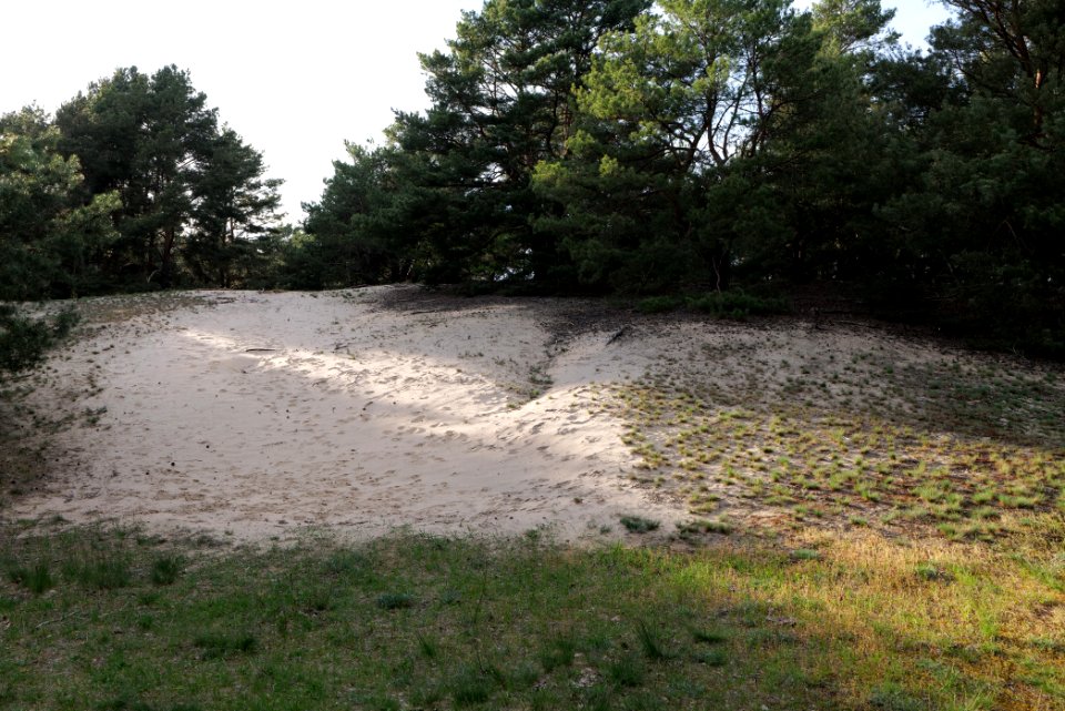 Dünen Dabendorf 2021-05-09 15