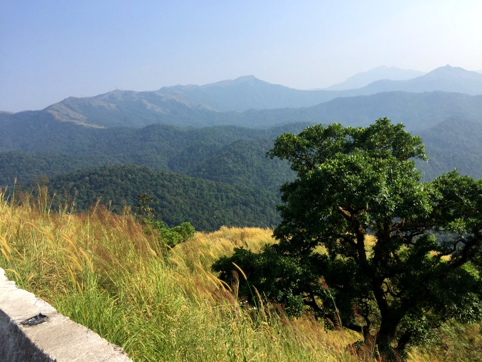 Dakshina Kannada mountain pass 12