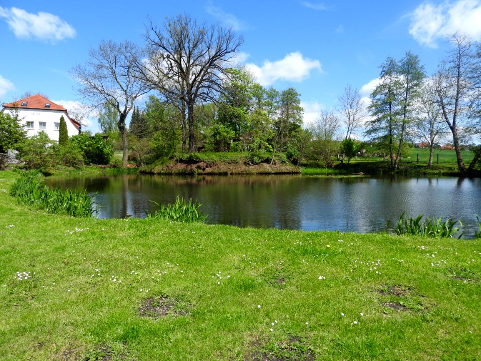 Döhlen, Neustadt an der Orla 5