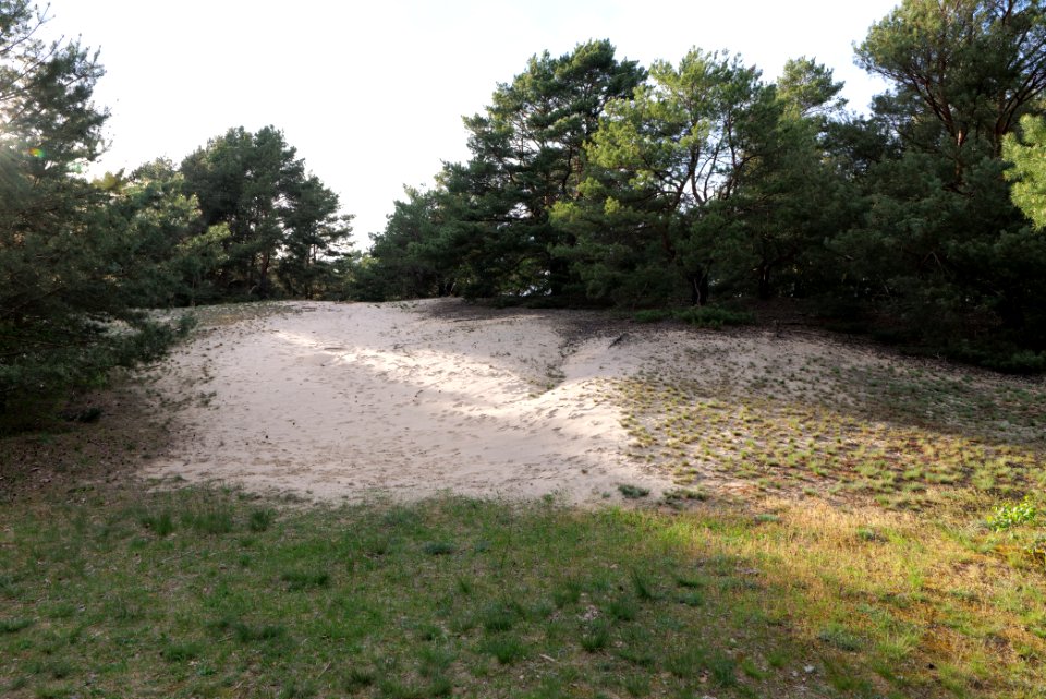 Dünen Dabendorf 2021-05-09 13