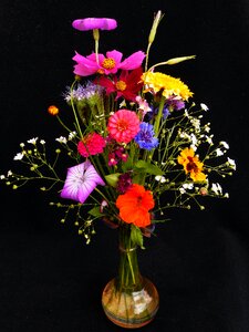 Flower meadow bouquet nasturtium photo