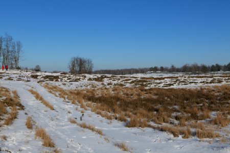 Döberitzer Heide with snow 2021-02-14 244