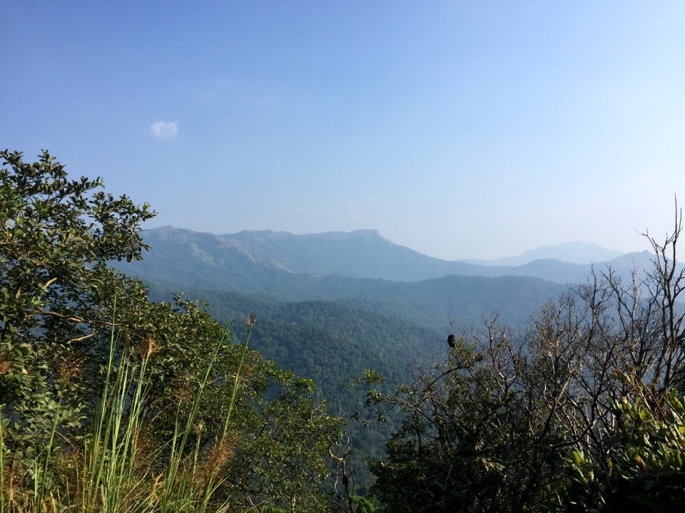 Dakshina Kannada mountain pass 5