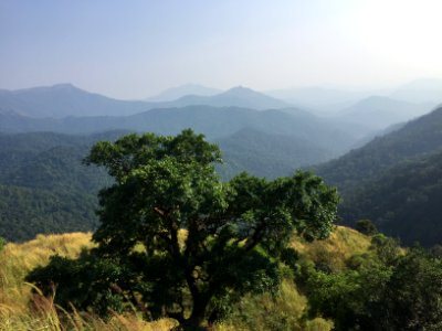 Dakshina Kannada mountain pass 11
