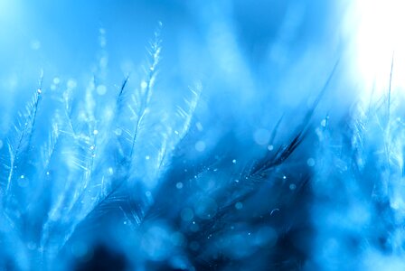 Blue loving drops
