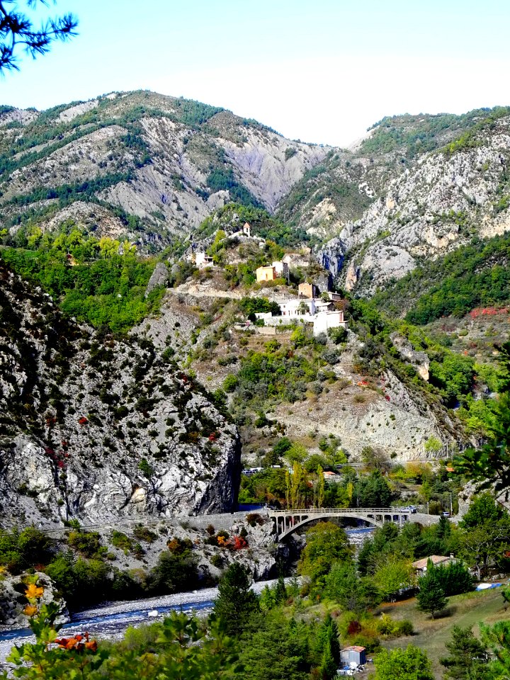 Daluis 10