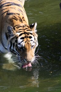 Water nature nature protection law