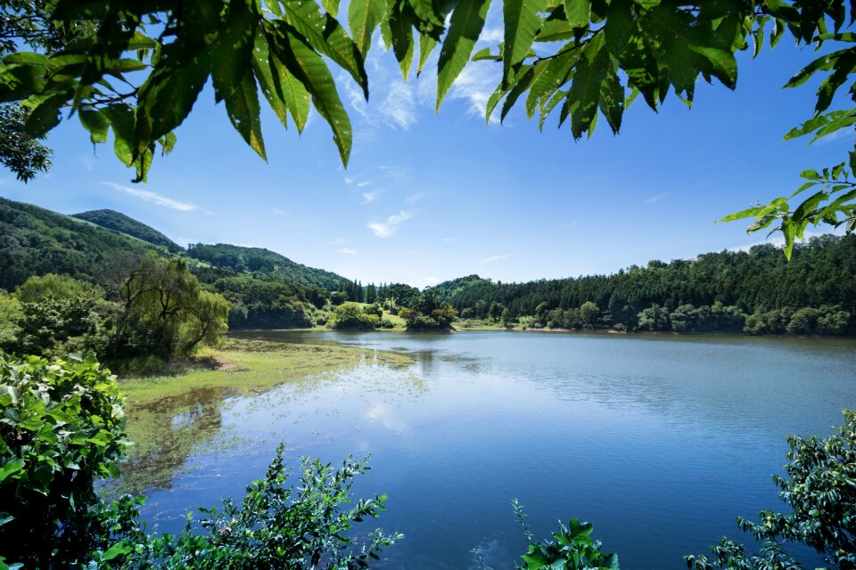 Spring reservoir scenery