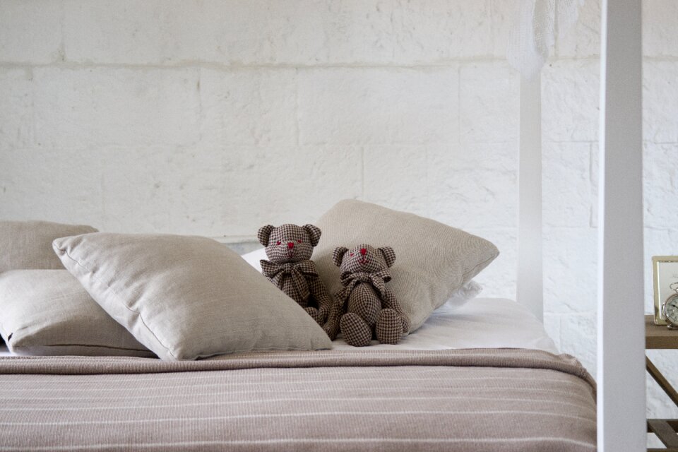 Room teddy bear toy