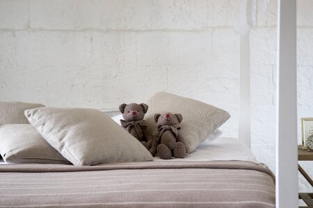 Room teddy bear toy