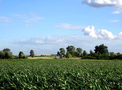 Dabrowa Wielka fields 12 7-2015