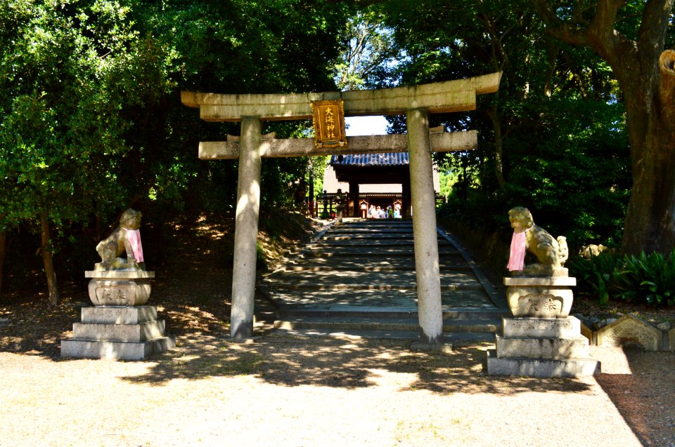 Daikai-jinja, torii