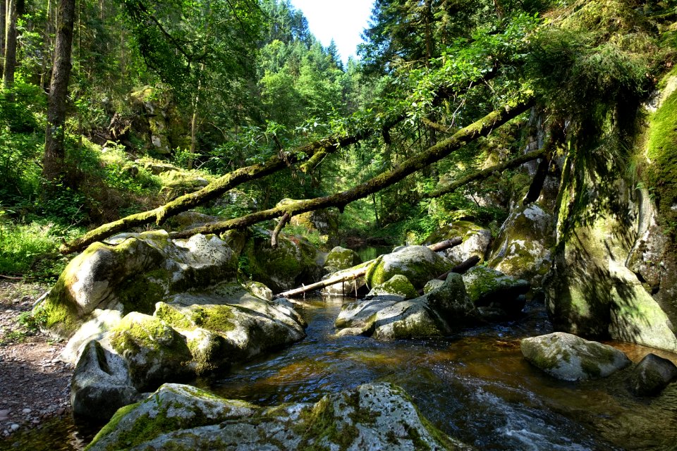 Dachsberg-Teufelsküche im Albtal-06