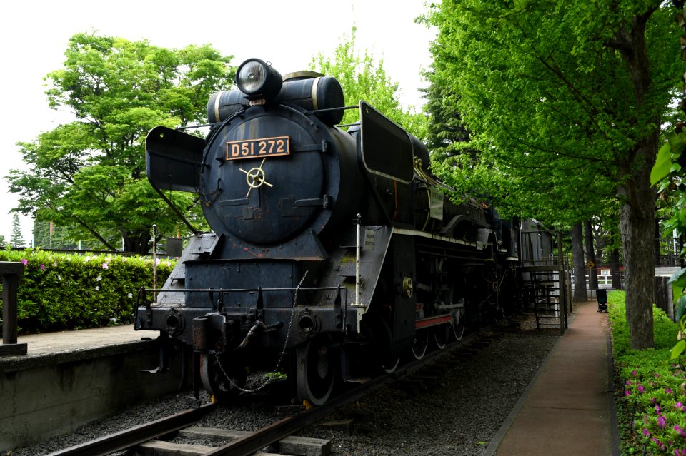 D51 272 in Setagaya Park