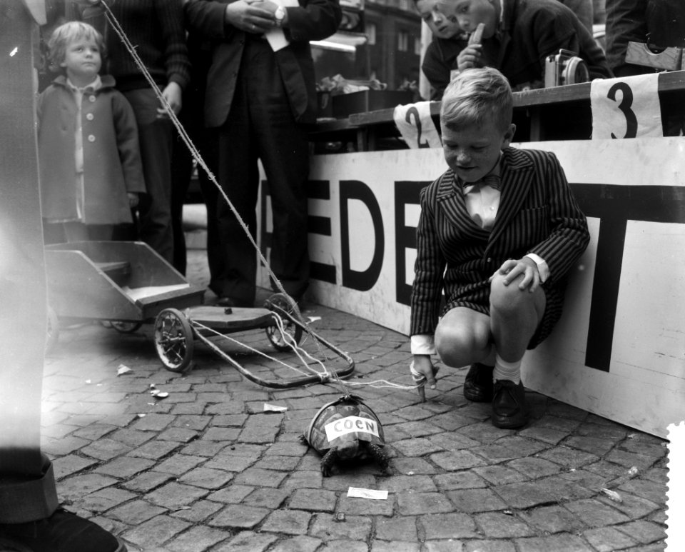 Dam tot Dam race , derde dag, Coen de schildpad, Bestanddeelnr 910-6363
