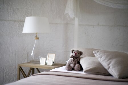 Room teddy bear toy