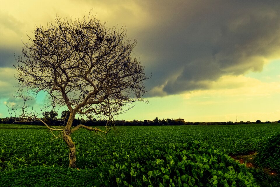 Nature sky clouds