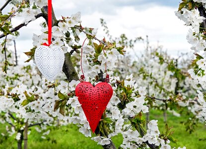 Love romance nature